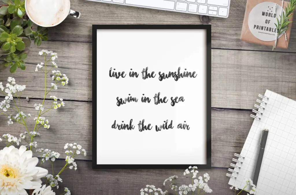 Live In The Sunshine Art Print - Printable Wall Art