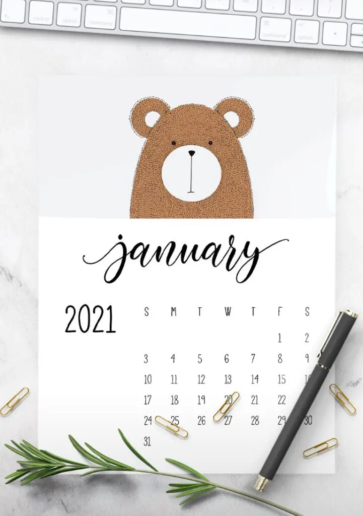 Cute Contemporary Peeking Animals 2021 Calendar