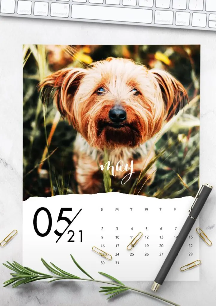 Free Printable Calendar 2021 - calendar 59 mockup 2