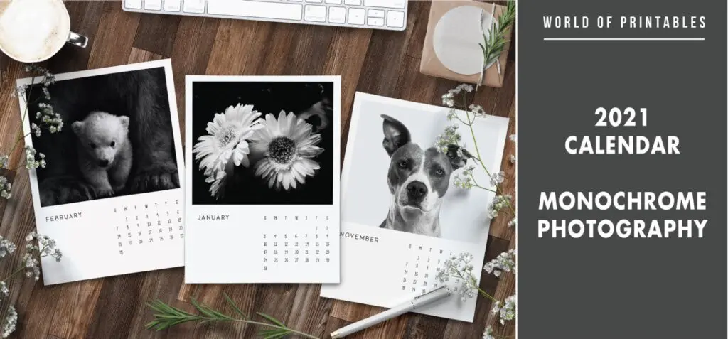 2021 calendar Monochrome photography