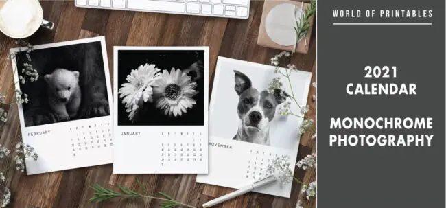 2021 calendar Monochrome photography
