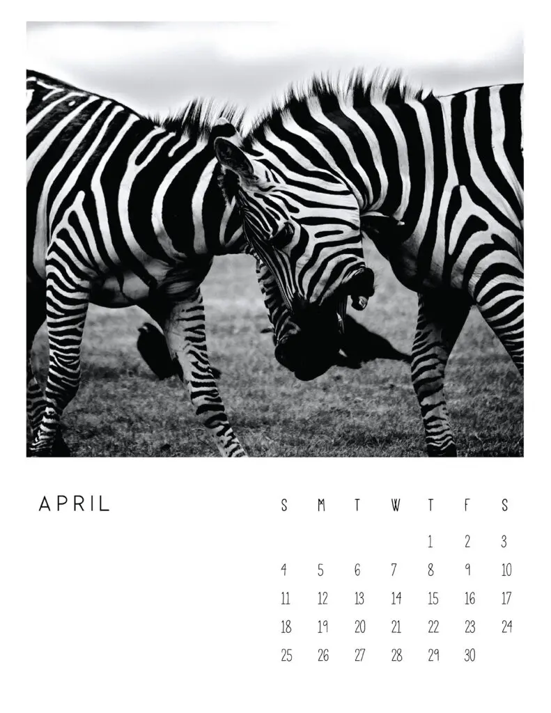 April 2021 Calendar Monochrome Photography