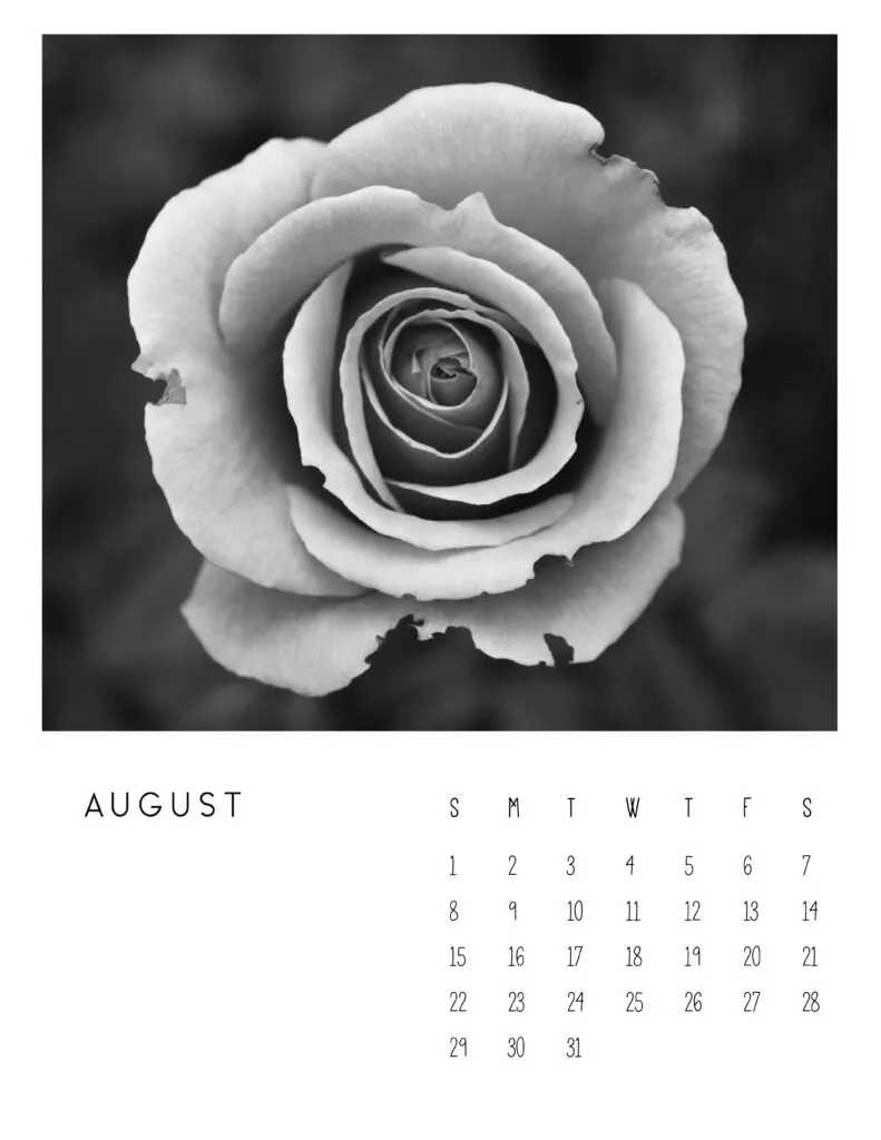 August 2021 Calendar Monochrome Photography