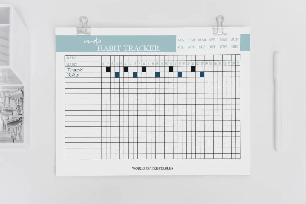 Cardio Habit Tracker Mockup 2 (1)