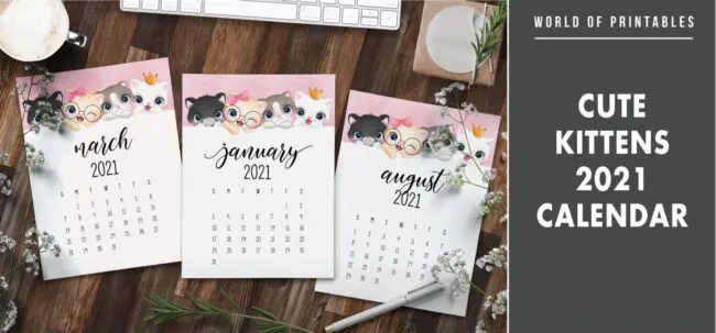 Cute kittens 2021 Calendar