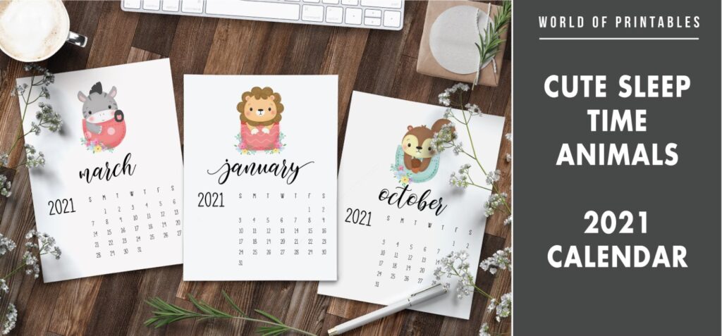 Cute sleep time animals 2021 Calendar