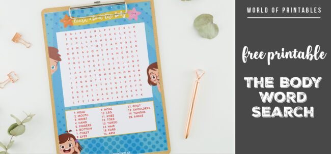 Free Printable The Body Word Search