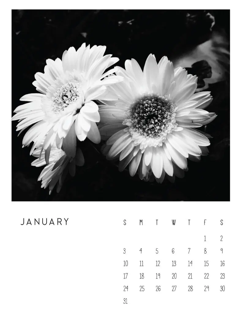January 2021 Calendar Monochrome Photography