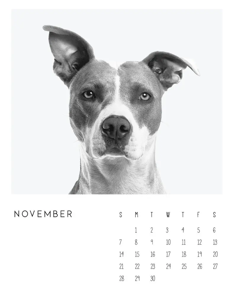 November 2021 Calendar Monochrome Photography