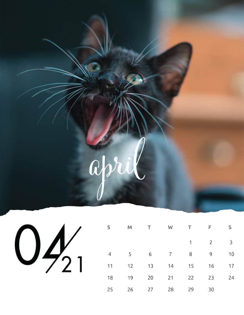 April 2021 Calendar Animal Photography