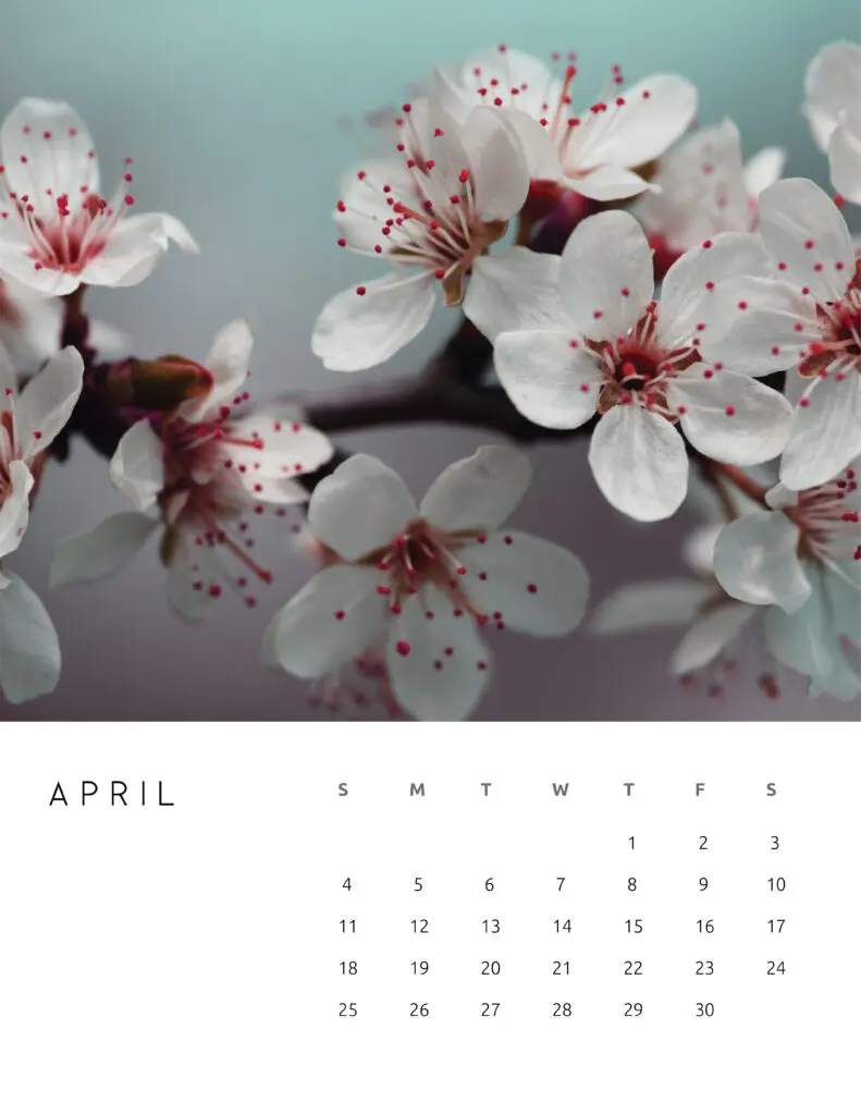 April 2021 Calendar Floral Photography
