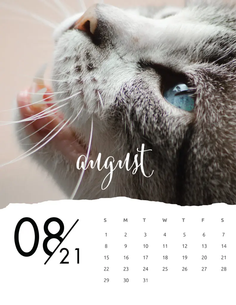 August 2021 Calendar Animal Photography