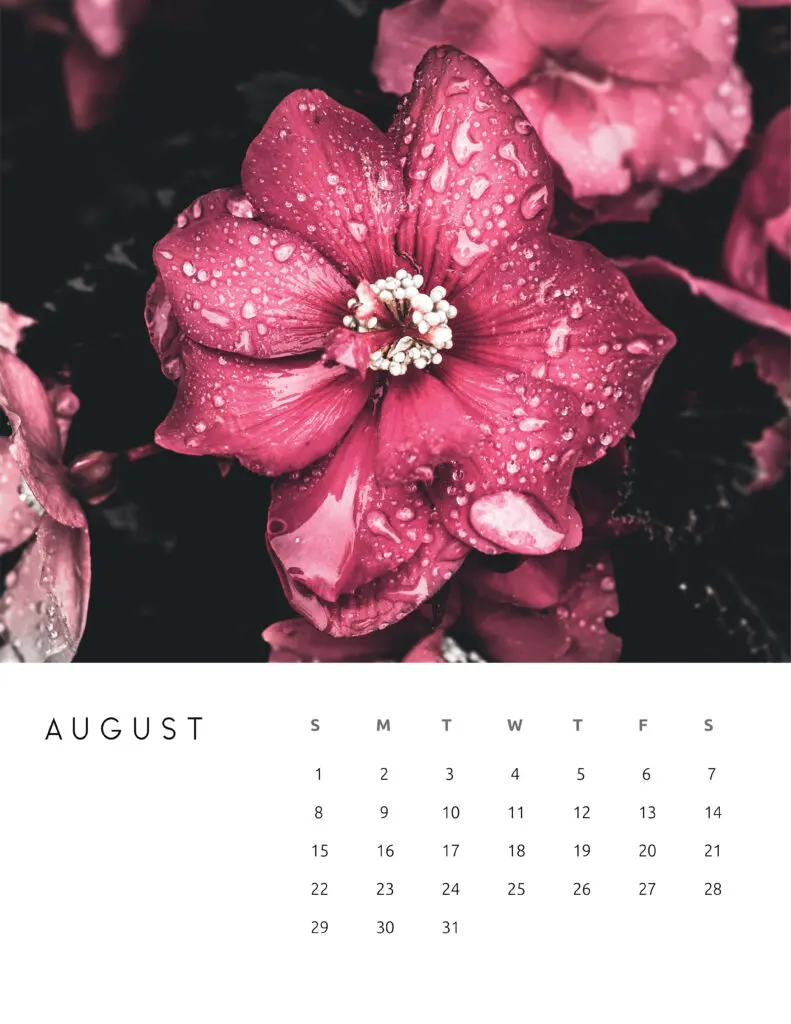 August 2021 Calendar Floral Photography