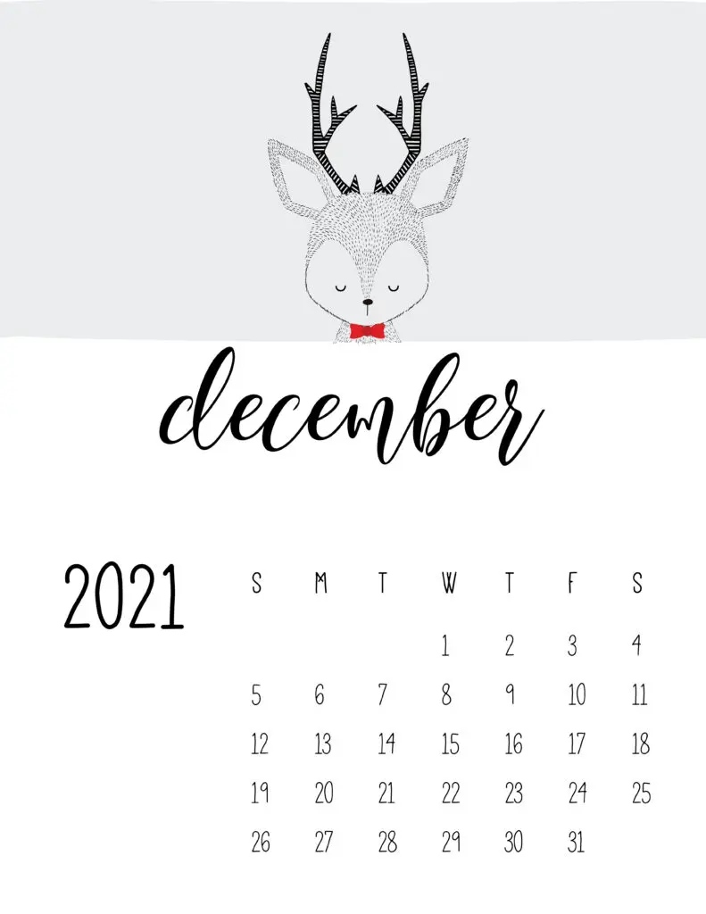 Cute Contemporary Peeking Animals 2021 December Calendar