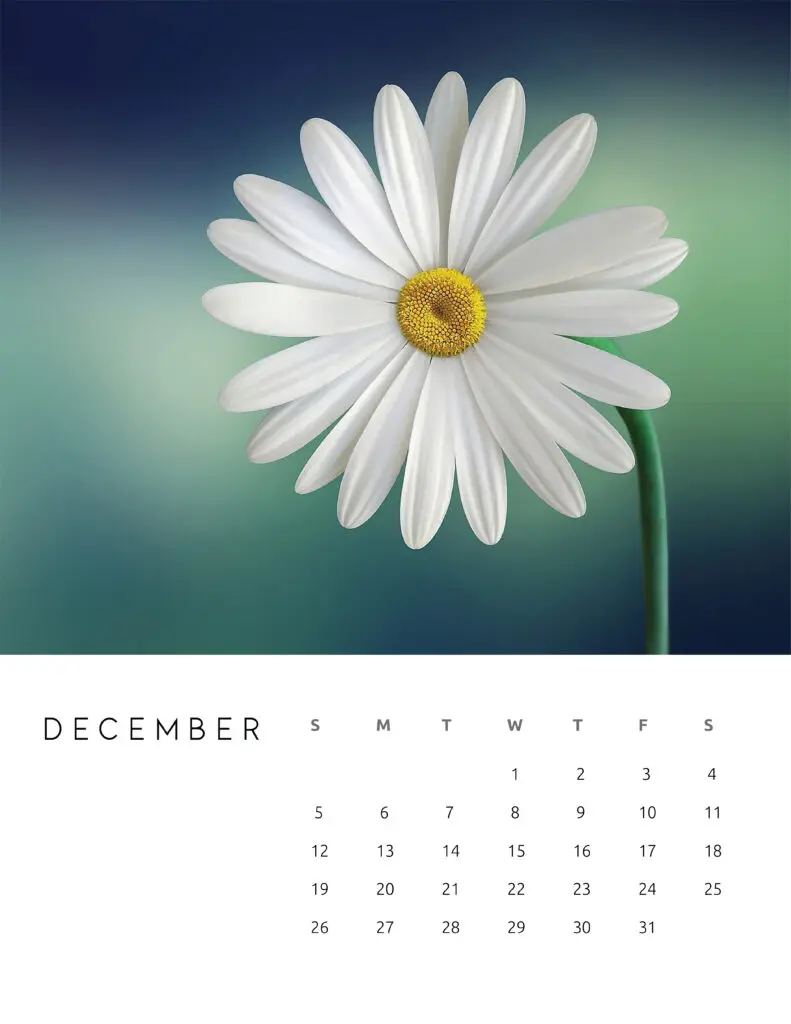 December 2021 Calendar Floral Photography