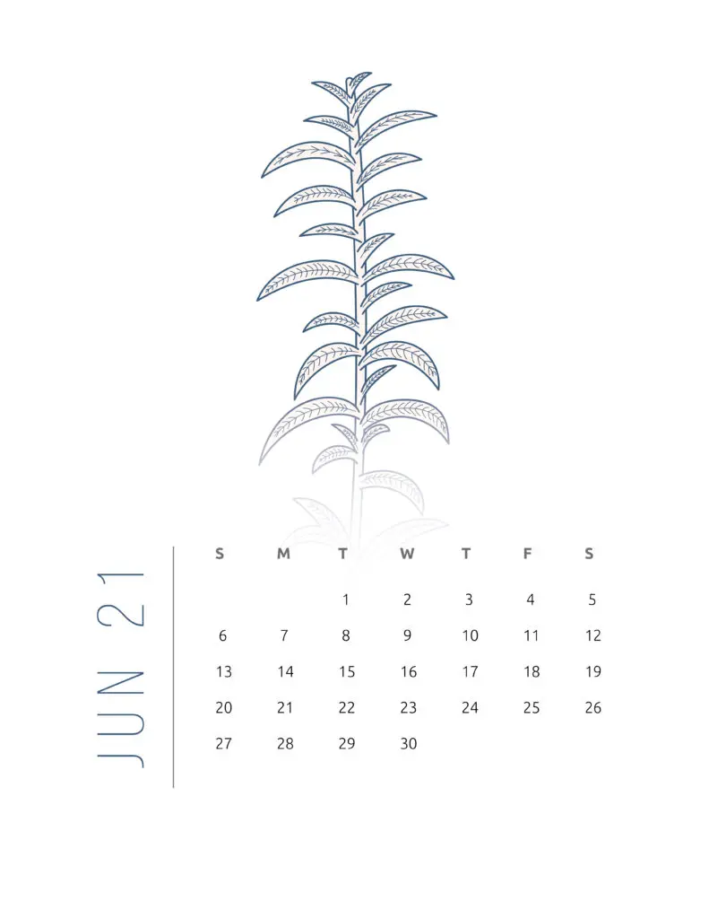 Floral Frame June 2021 Calendar