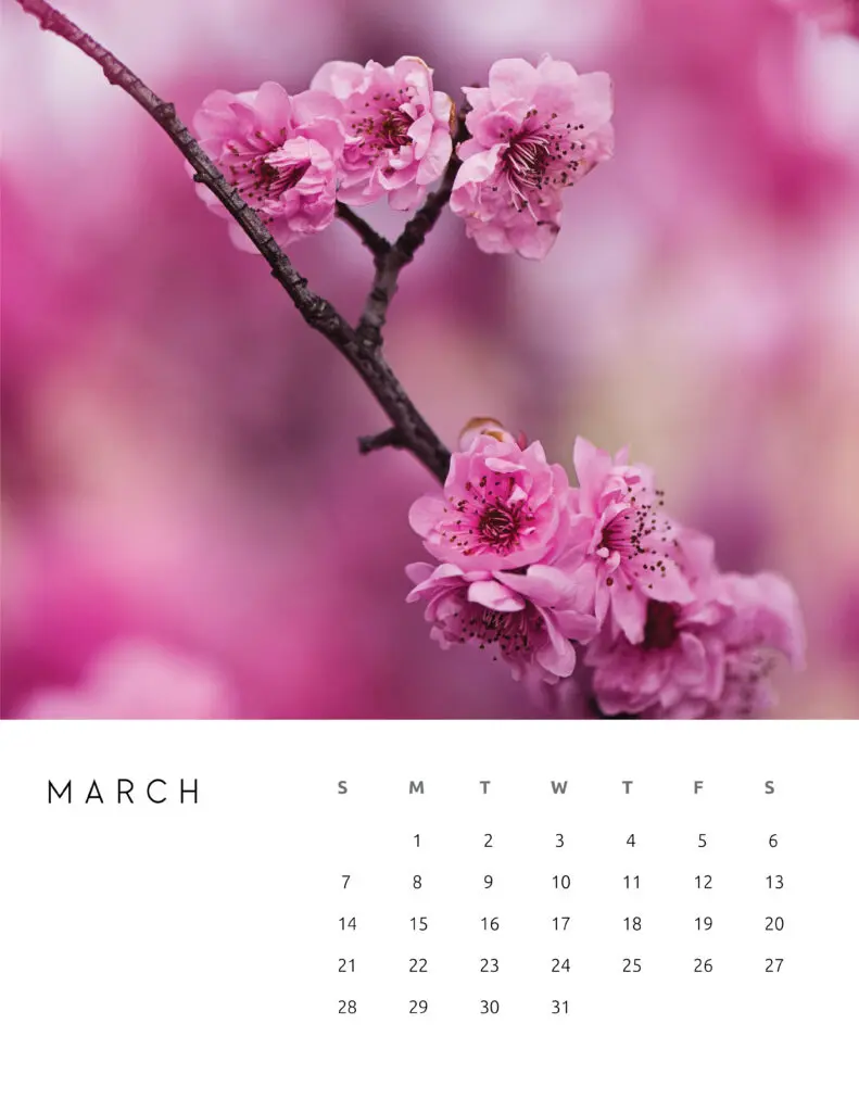 March 2021 Calendar Floral Photography
