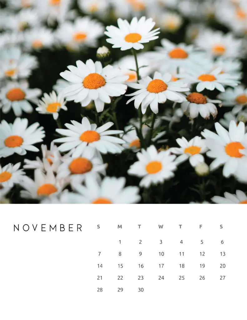 November 2021 Calendar Floral Photography