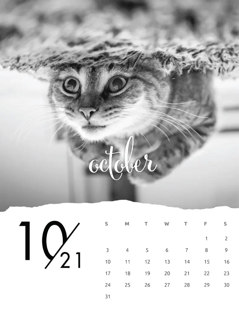 October 2021 Calendar Animal Photography