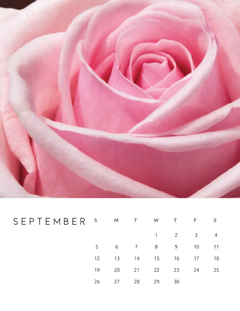September 2021 Calendar Floral Photography