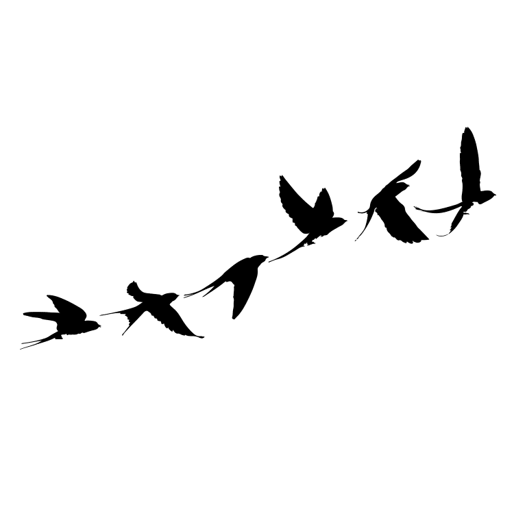 Flock of flying birds - Free SVG