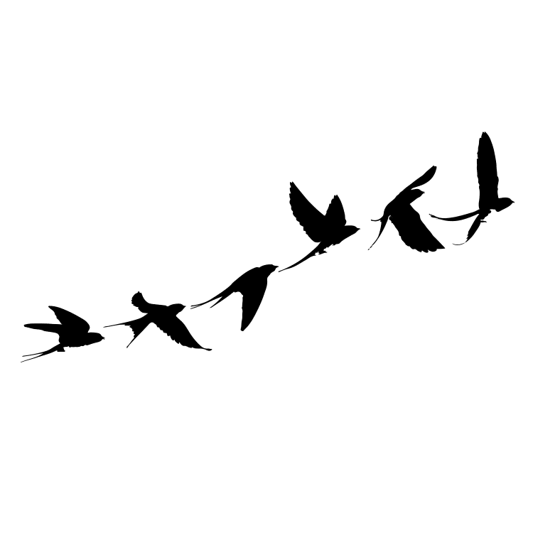 Download Flock Of Flying Birds Free Svg Files Svg Png Dxf Eps