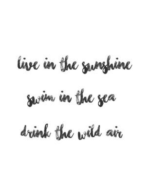 Live In The Sunshine Art Print - Free Printable Wall Art