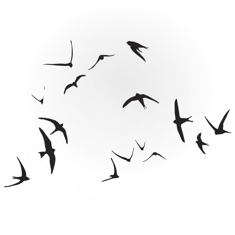 flying birds - Free SVG