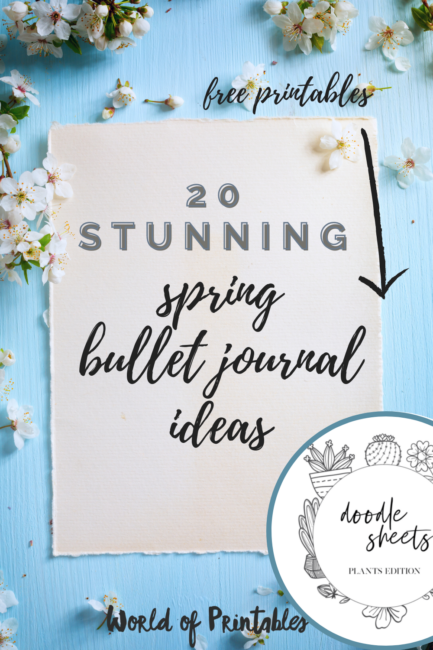 20 Stunning Spring bullet journal ideas + free printables