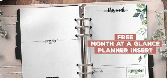 Free Month At A Glance Planner Insert