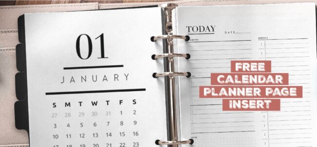 Free Printable Calendar Planner Page Insert
