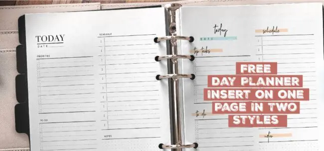 Free Day Planner Page In Two Styles