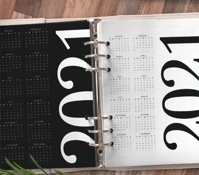 Year At A Glance Planner Page Free Printable 4