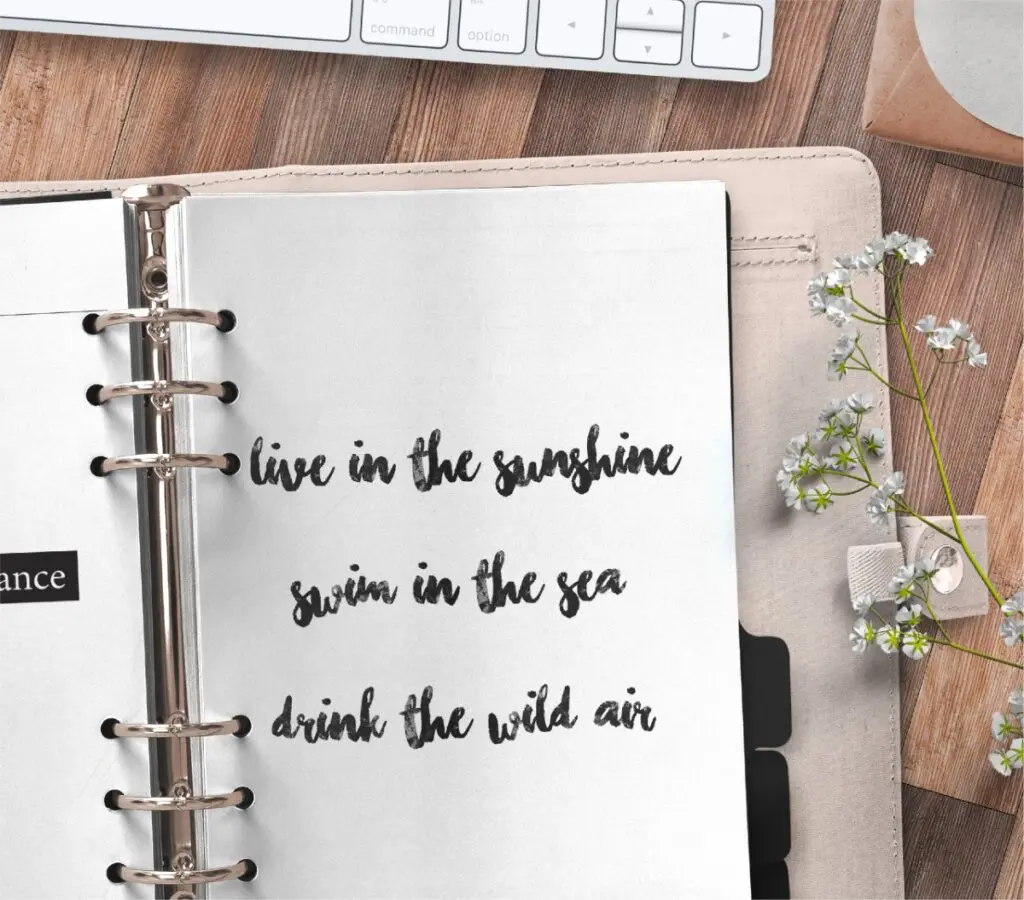 inspirational quote planner page - live in the sunshine