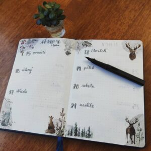 40+ Cute Bullet Journal Ideas For Inspiration - Plus Free Printables