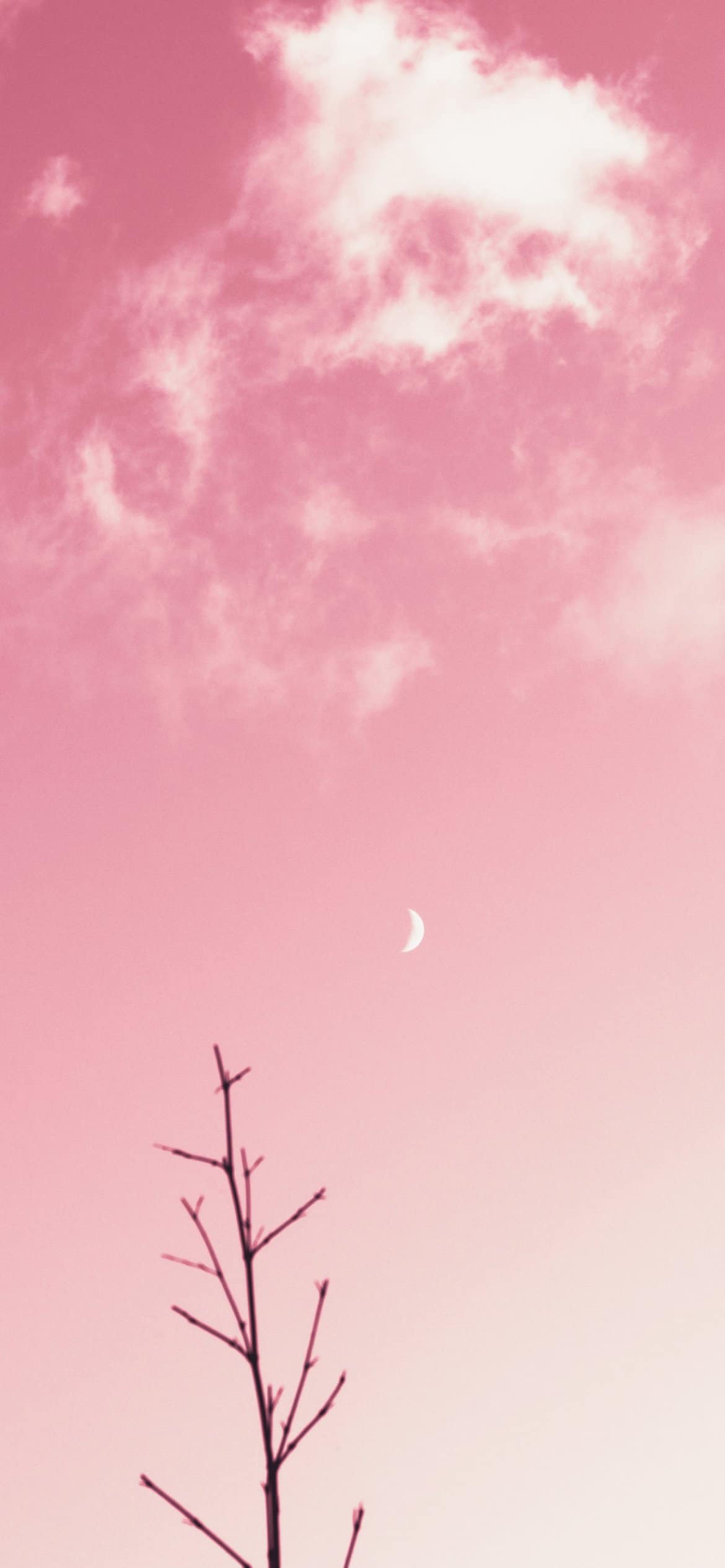 45 Pink Aesthetic Wallpaper Backgrounds You Need For Your Phone Right Now