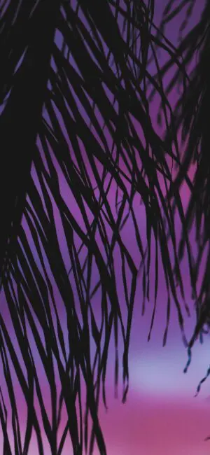 Palm Trees Purple Aesthetic Wallpaper