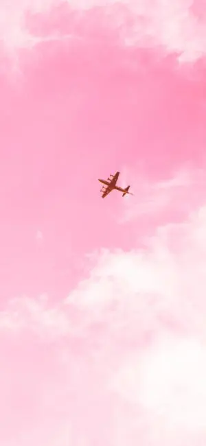 Pink Plane iPhone Background