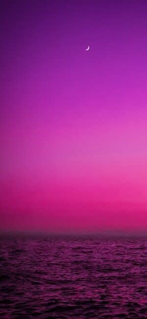 Purple Sea iPhone Wallpaper