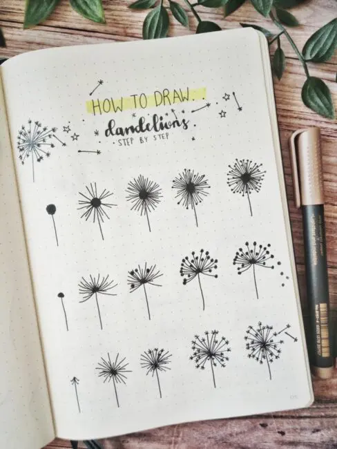 how to draw dandelions step by step