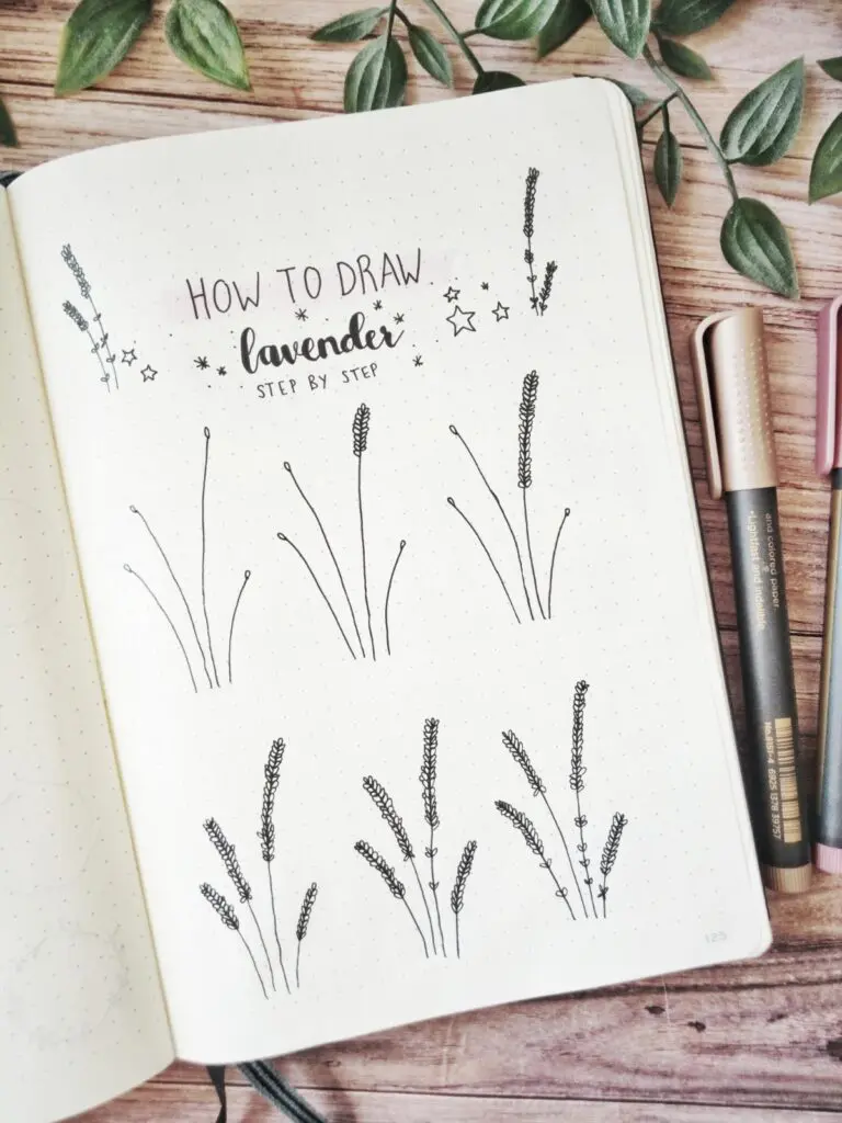 how to draw lavender step by step