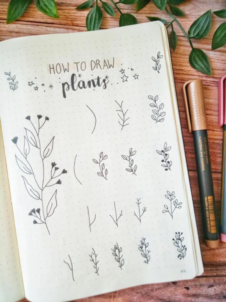 how to draw plants