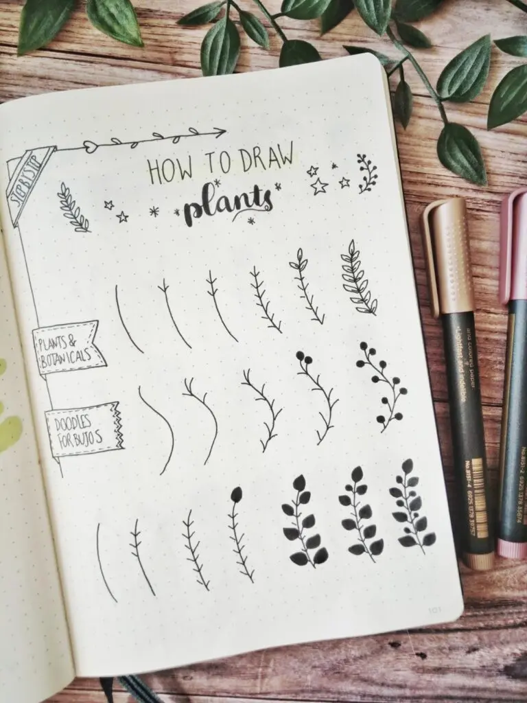 how to draw plants step by step