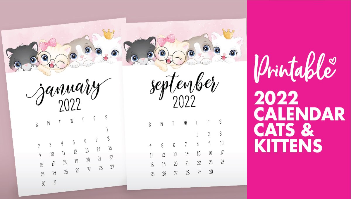 Free Printable 2022 Cat Calendar - World Of Printables