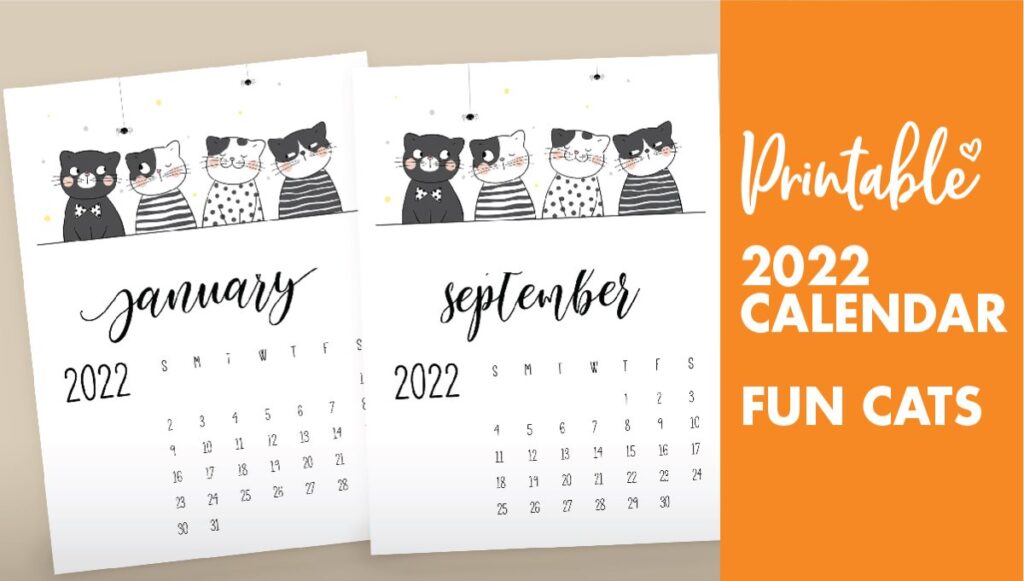 funny cat calendar 2022
