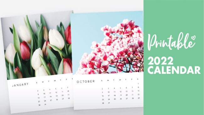 nature photography calendar 2022