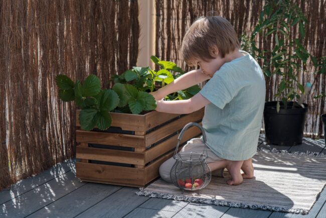 What chores can a 4 year old do