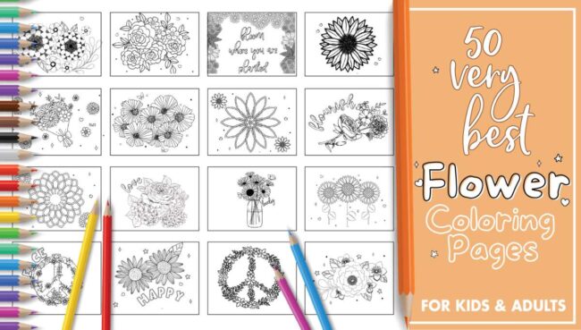 Best Printable Flower Coloring Pages For Kids And Adults