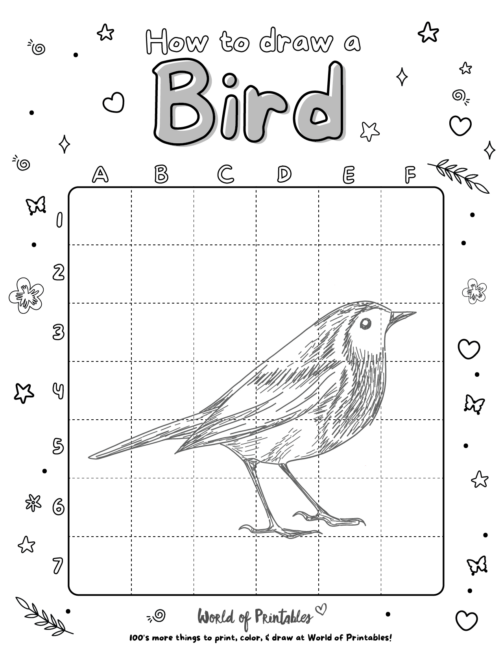 How To Draw A Bird 7