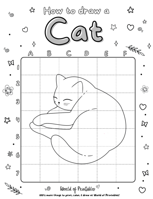 How To Draw a Cat 3